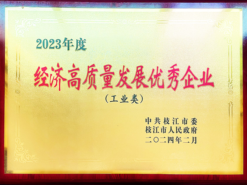 2023年度“經(jīng)濟高質(zhì)量發(fā)展優(yōu)秀企業(yè)”